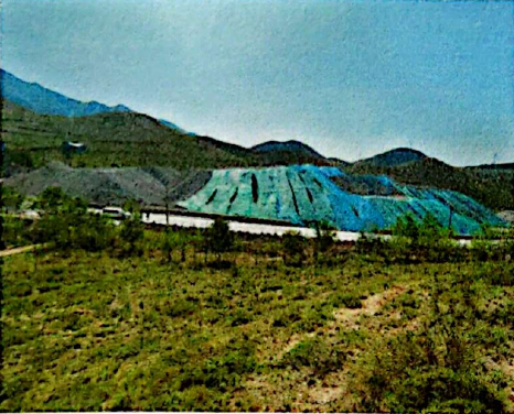 12月31日海东62862方的花岗岩沙石网络拍卖公告