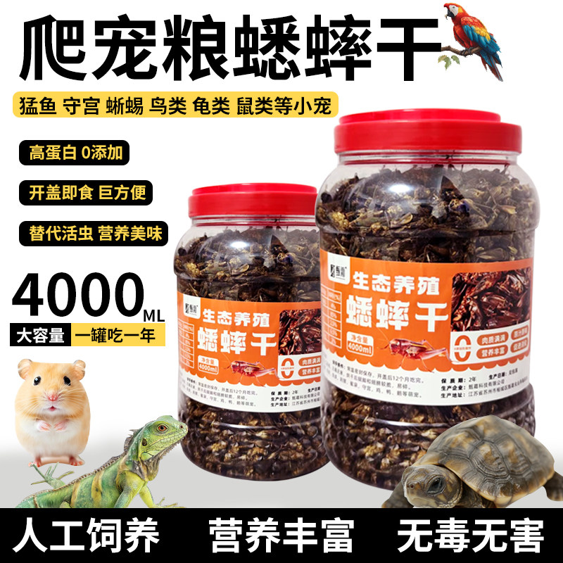 高蛋白宠物零食蟋蟀干爬宠蜥蜴守宫鸟龟通用天然无添加养殖场直发,宠物/宠物食品及用品,爬虫/鸣虫食物,淘宝优惠券,粉丝福利购,淘宝优惠卷