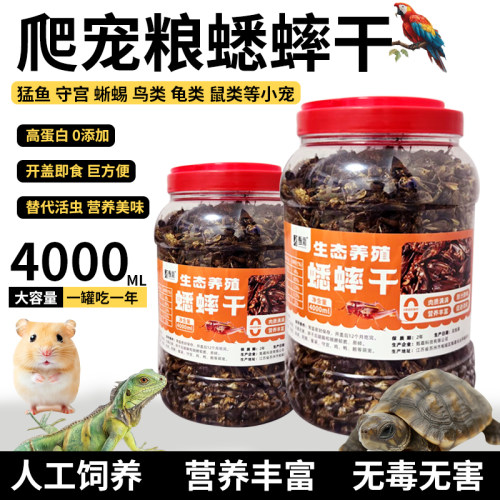 高蛋白宠物零食蟋蟀干爬宠蜥蜴守宫鸟龟通用天然无添加养殖场直发
