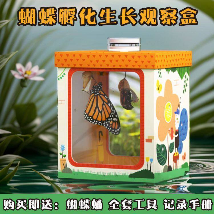 蝴蝶蛹观察孵化儿童昆虫实验小学生成蝶玩具套装养殖真活蝴蝶家养