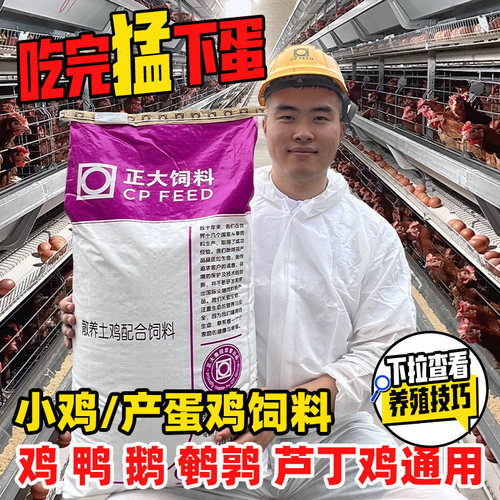 批发鸡饲料正大鸡鸭鹅鹌鹑芦丁鸡