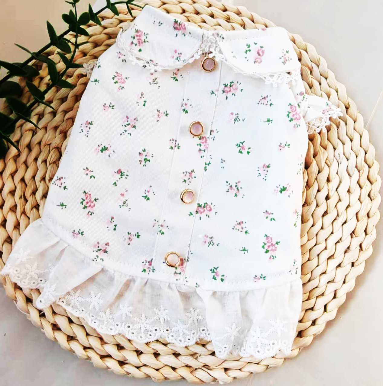 宠物衣服秋冬款狗狗猫咪全棉小碎花连衣裙原创设计泰迪比熊约克夏