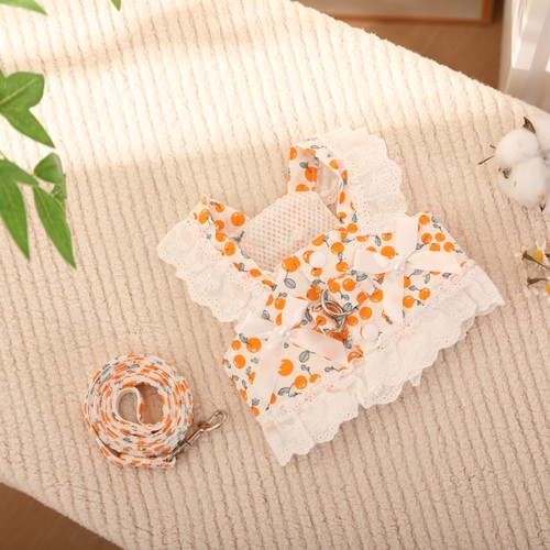 兔兔猫咪 牵引胸背带狗狗公主裙 外出专用遛狗绳泰迪比熊