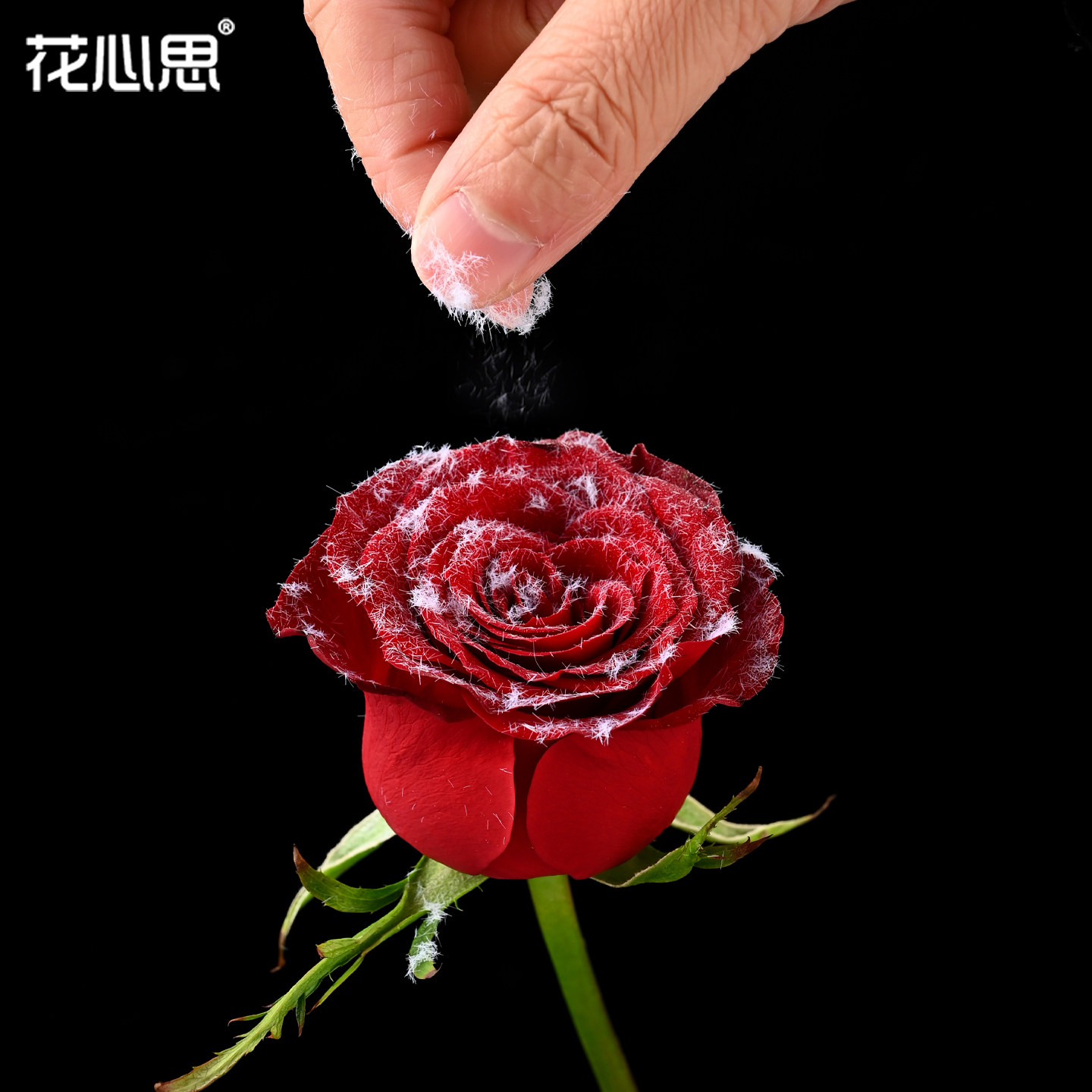 花心思毛绒粉鲜花喷胶秋冬氛围植绒装饰配饰花束DIY材料花艺资材,鲜花速递/花卉仿真/绿植园艺,花艺材料,淘宝优惠券,粉丝福利购,淘宝优惠卷