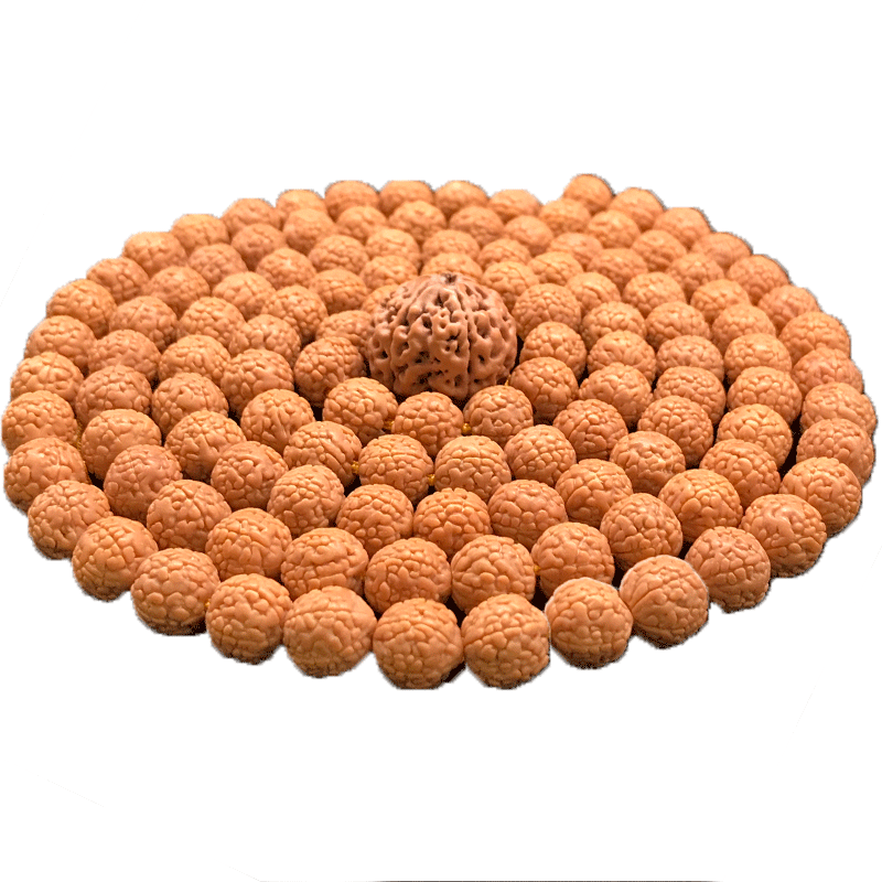 小金刚菩提多瓣梅花树王龙鳞纹