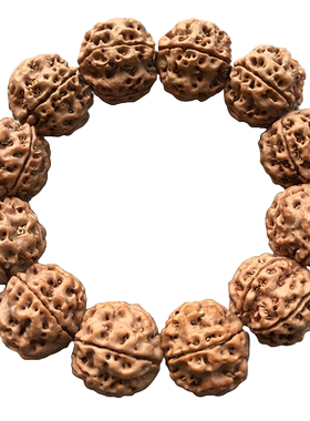 金诗文玩大金刚菩提子