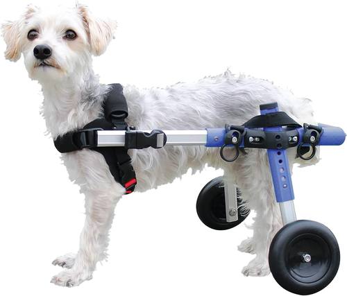 dog wheelchair support BackLegs Walkinpets狗轮椅宠物残疾美国