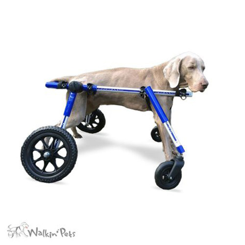 大型犬康复锻炼四轮专业狗轮椅