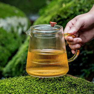 泡茶壶玻璃家用耐高温茶水分离沏茶急须壶功夫绿茶具手抓煮红茶器