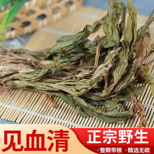 见血清中药材500g克新鲜野生整颗见血青草药无硫新货