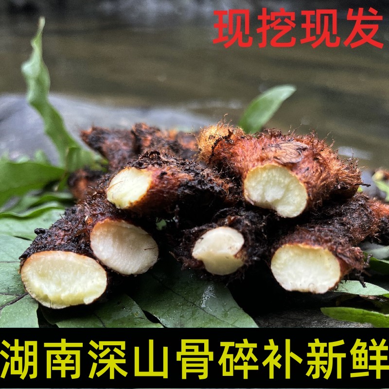 湖南深山新鲜骨碎补毛姜爬岩姜石岩姜接骨500g/件 包邮姜中药材