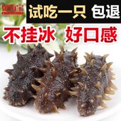 长岛大连辽参刺参海渗鲜活海参礼盒单个装 御海宝 即食海参500g