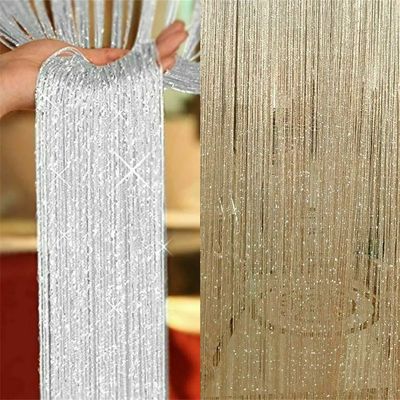 2M*1M String Curtain Panels Door Fly Screen Hanging Beaded C