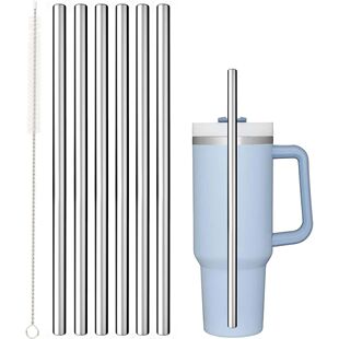 Replacement for Steel Straw Stainless Stanley