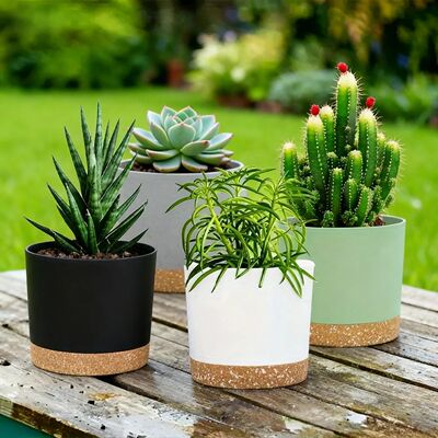 2 Pack, Planters for Indoor Plants with Drainage Holes and R