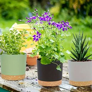 2pcs, 4.7nch Flower Pot Set, Indoor Plant Pots With Drainage