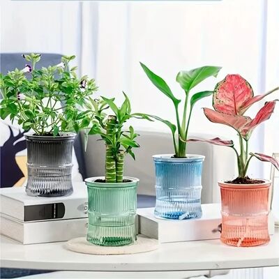 Lazy Hydroponic Flower Pot Automatic Water-Absorbing Flowerp