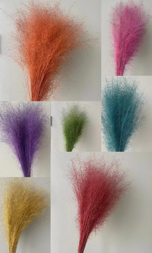 干花粉黛网红粉黛乱子草蚊子草干花拍摄背景展会婚庆装饰拍照道具