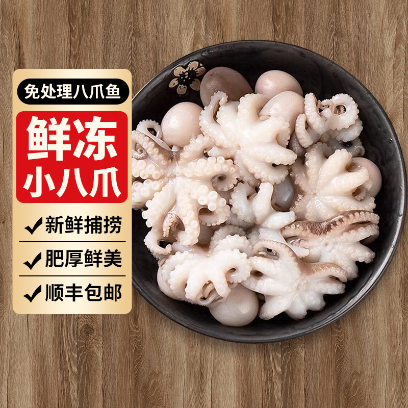 【鲜活八爪鱼大号小章鱼】免清理
