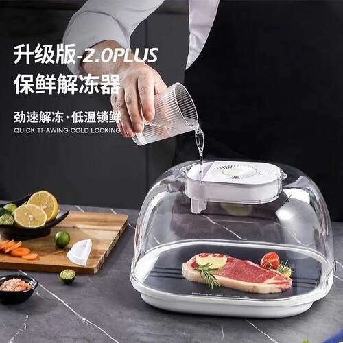 德国进口食物解冻器多功能家用肉类保鲜器快速化肉牛排恒温解冻盘