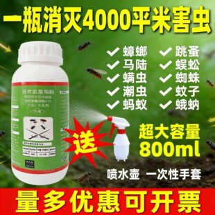 蚊子蝇一夏净杀虫剂商用灭蟑螂药家用酒店长效大面积灭蚊子喷雾剂
