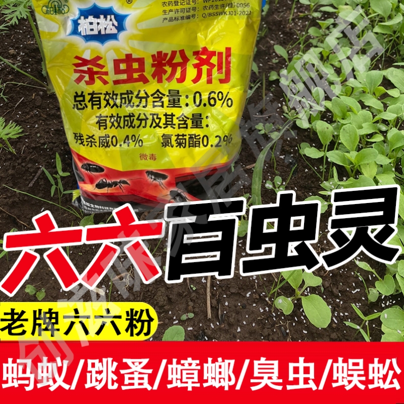 柏松六六老式老牌子66杀虫粉滴滴畏农药杀虫剂大全跳蚤药杀虫粉xm