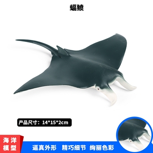 儿童认知玩具仿真海洋动物模型静态实心魔鬼鱼蝠鲼鱼鳐鱼塑胶摆件