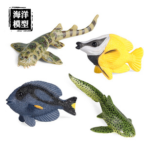 儿童仿真海洋动物模型玩具条纹斑竹鲨豹纹鲨狐狸鱼黄尾副刺尾鱼男