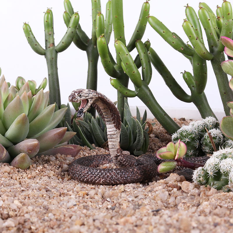 儿童野生动物实心模型玩具 仿真静态大蟒蛇响尾蛇眼镜蛇动物摆件