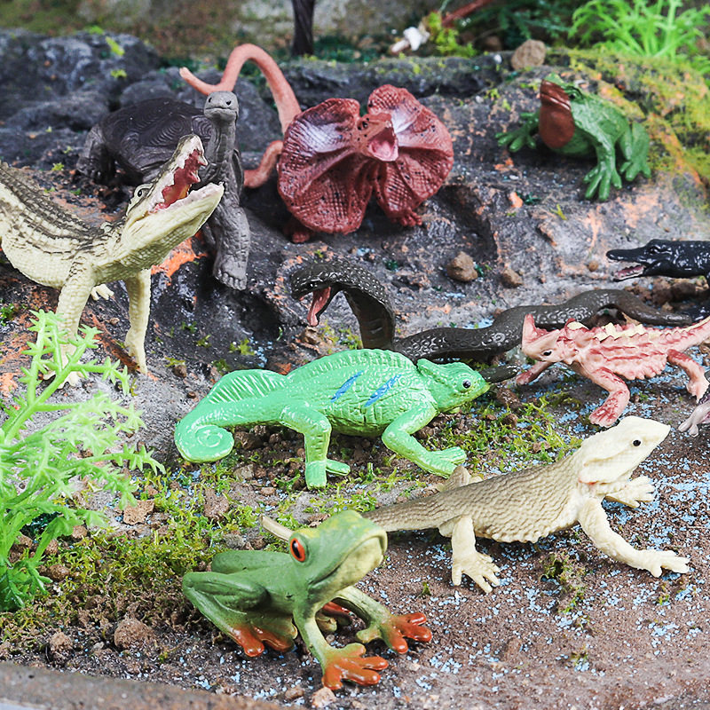 仿真爬虫两栖野生动物模型迷你蜥蜴象龟青蛙鳄鱼眼镜蛇变色龙森蚺