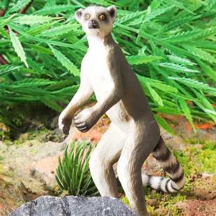 实心仿真环尾狐猴模型野生动物玩具节尾狐猴灵长儿童认知礼物造景