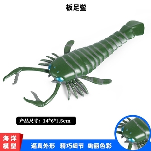 儿童认知实心静态仿真动物玩具远古海洋动物模型寒武纪板足鲎摆件
