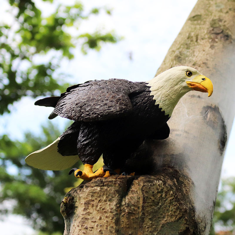 儿童玩具实心仿真野生动物世界鸟类模型摆件老鹰大号白头海雕手办