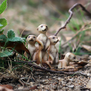 儿童仿真动物模型玩具带仔狐獴站立狐獴沼狸猫鼬狸獭海狸鼠摆件