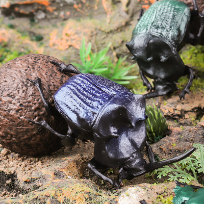 儿童仿真实心屎壳郎蜣螂玩具摆件
