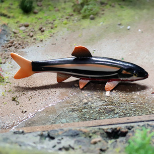 儿童早教仿真实心海洋动物模型雅罗鱼浮子鱼滑子鱼淡水鱼玩具造景