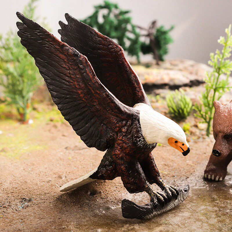儿童认知金雕金鹫野生动物飞禽鸟类仿真模型玩具客厅桌面装饰摆件