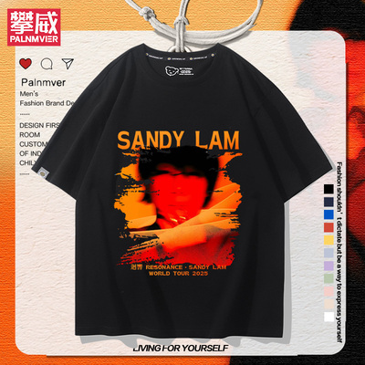 林忆莲回响Resonance巡演唱会周边短袖男女夏季宽松休闲百搭T恤衫