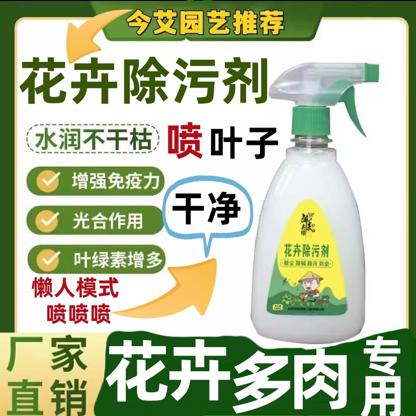 醉美叶面喷净清洁花卉除污剂植物通用除碱除污除尘增光亮花营养肥,鲜花速递/花卉仿真/绿植园艺,家庭园艺肥料,淘宝优惠券,粉丝福利购,淘宝优惠卷