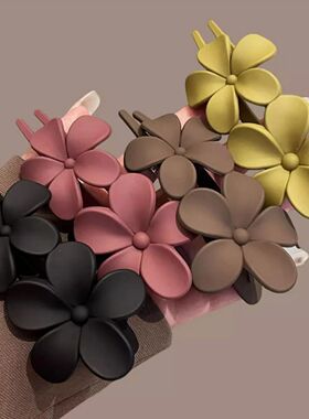 Summer New Hair Clips Accessories Elegant Frosted Butterfly