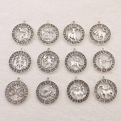 12pc Silver Color 24x21mm Twelve Constellations Charms Zodia