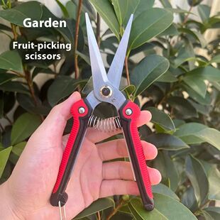Trimming Tools Pruning Shear Branch Scissors Stainless Steel