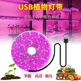Full Light Low Bar Growth Voltage Waterproof Led Spectrum