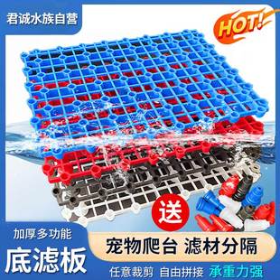 鱼缸底滤板滤材垫板隔离板底部过滤板龟缸垫高晒台手工DIY底滤板