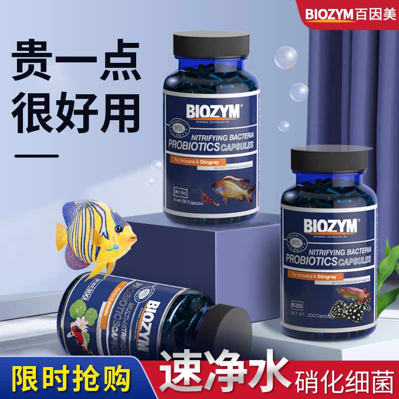 硝化细菌培菌净水除腥臭百因美