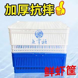 海鲜池鱼缸贝类花蛤蜊吐沙塑料透明兰白透水蓝白虾盒筐花甲双层盒