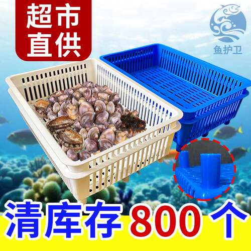 海鲜池大号粗腿花甲盒贝壳盒