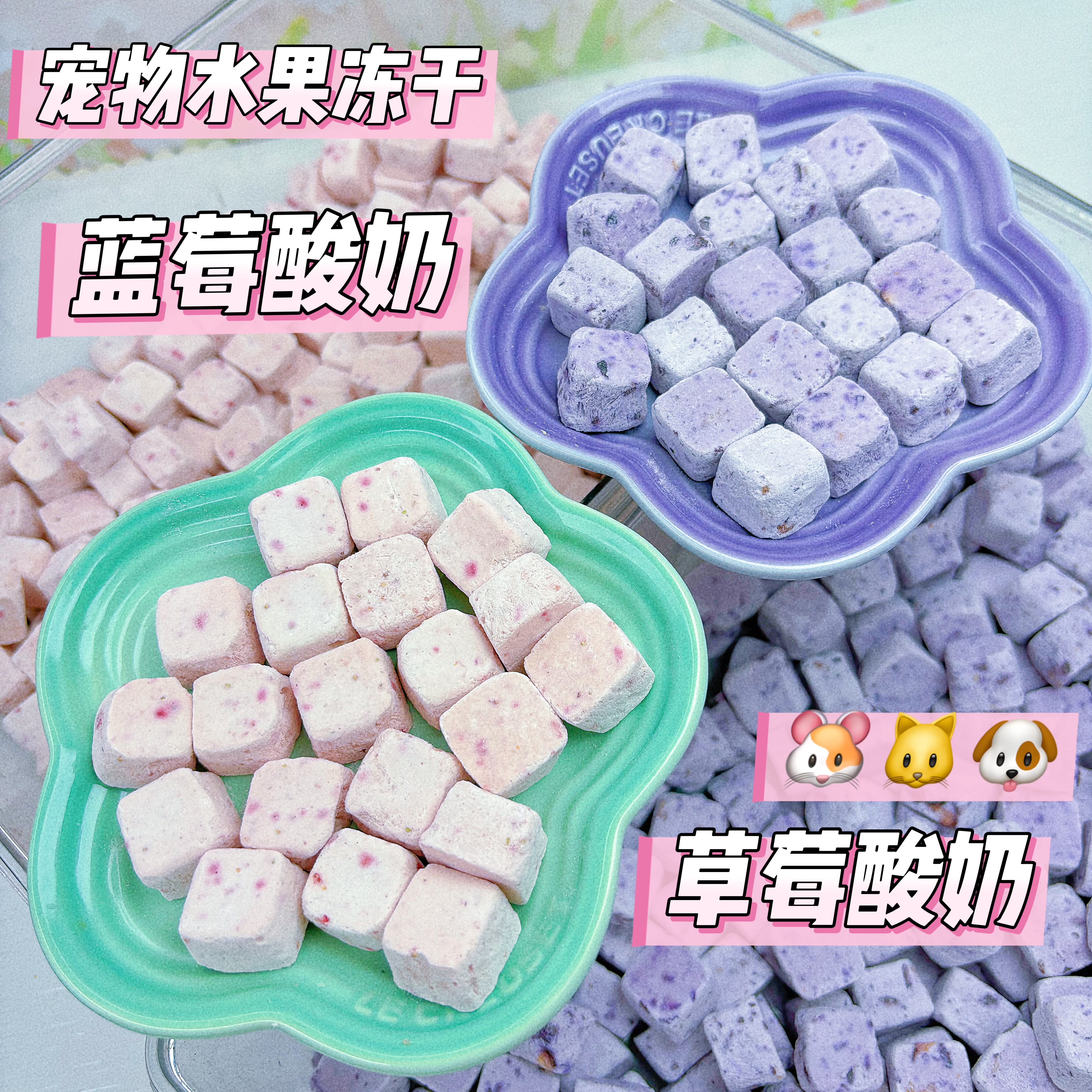 冻干草莓酸奶块 蓝莓酸奶块仓鼠猫咪狗狗健康零食营养美味乳酸菌,宠物/宠物食品及用品,鼠类零食,淘宝优惠券,粉丝福利购,淘宝优惠卷
