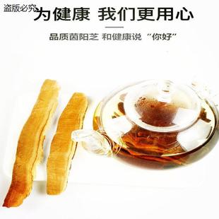 官方茵阳芝防伪验证茵阳灵芝M9 中片 买2送1 茵阳芝官网正品