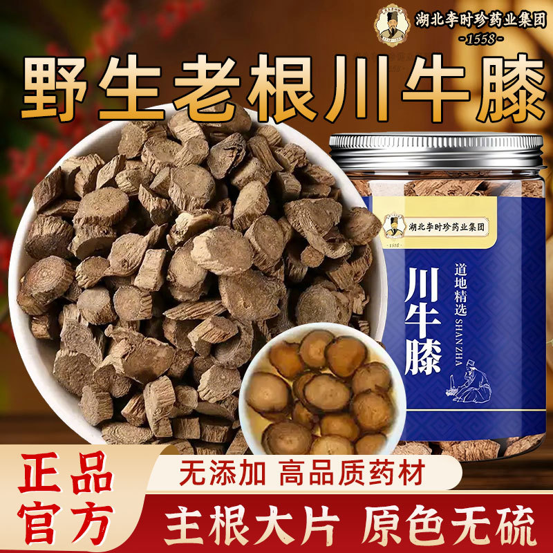 李时珍正宗四川精选川牛膝罐装搭川续断独活桑寄生杜仲泡茶水真货